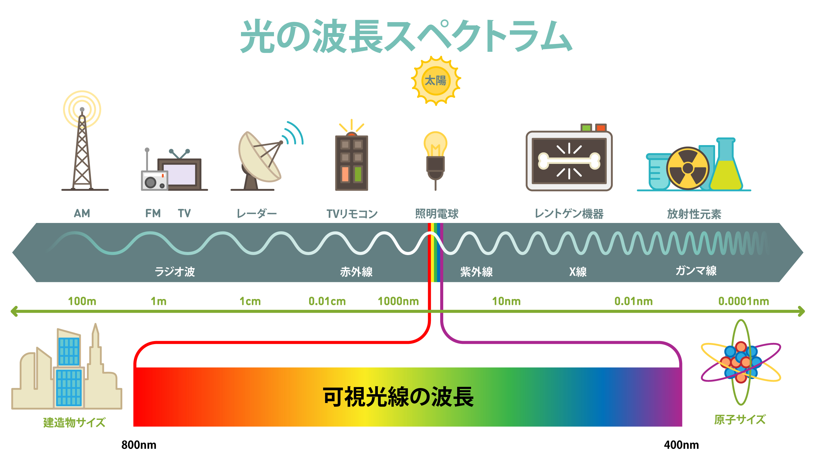 光の波長スペクトラム_fix-(1).jpg